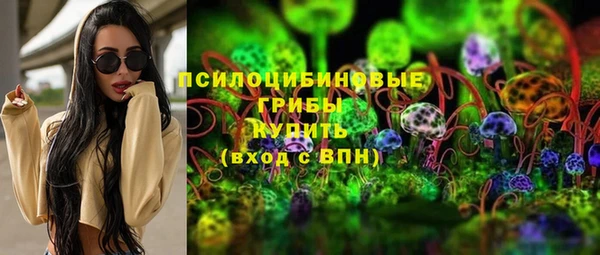 дмт Алексин