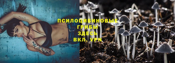 дмт Алексин