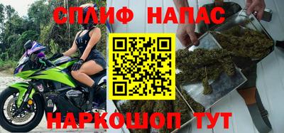 молекула духа Донской