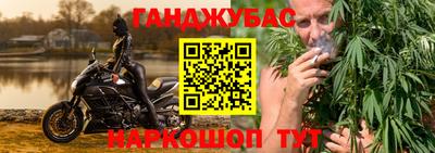 apvp Гусев
