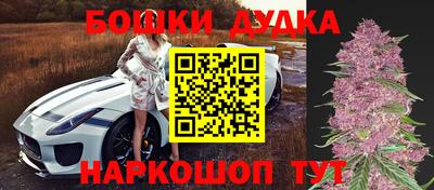 apvp Гусев
