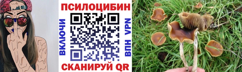 как найти Миасс Псилоцибиновые грибы прущие грибы