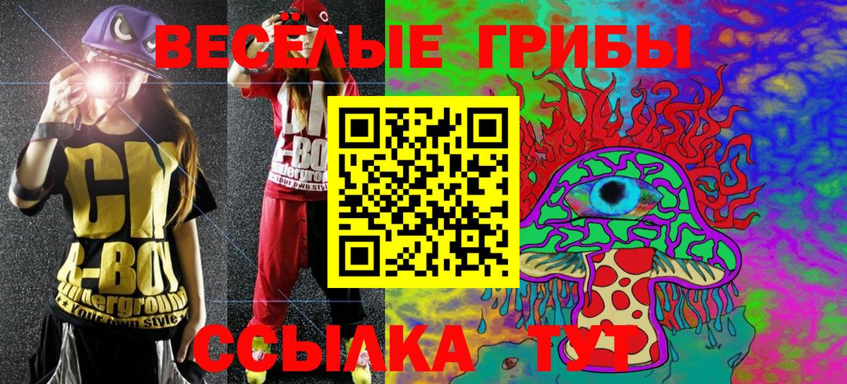 дарнет шоп  Галлюциногенные грибы прущие грибы  Вход с VPN  Миасс  Галлюциногенные грибы Cubensis 
