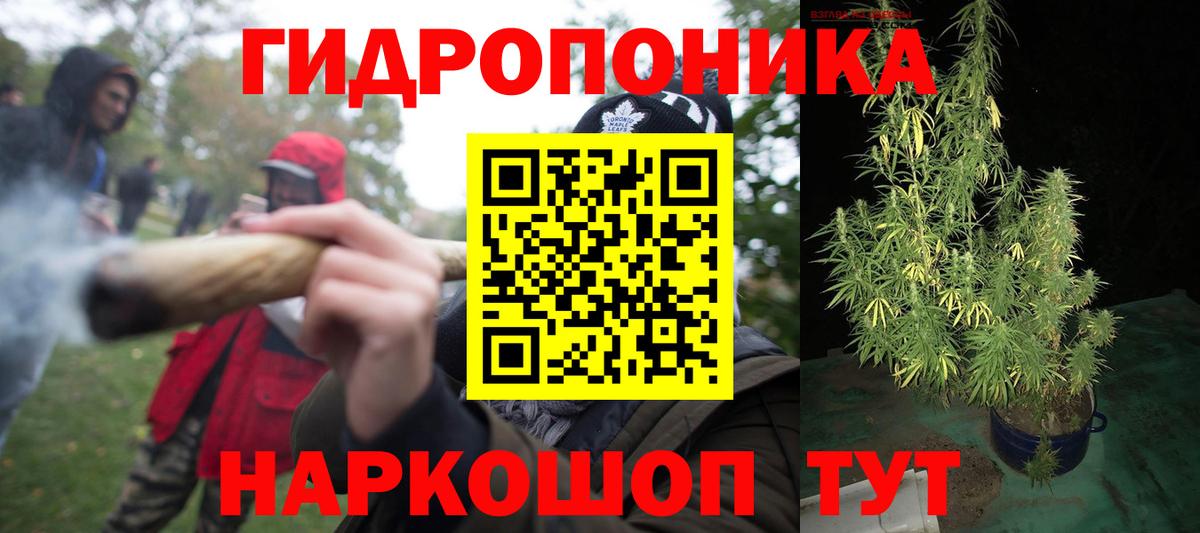Шишки марихуана тримм  Бошки марихуана THC 21%  Конопля ГИДРОПОН  Вход с VPN  Миасс 